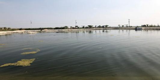 Nalgonda water