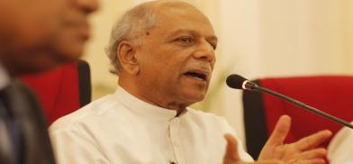 Foreign Minister Dinesh Gunawardena (File)