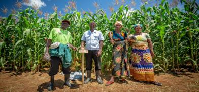 Agriculture expertise (File) Agriculture expertise (File)