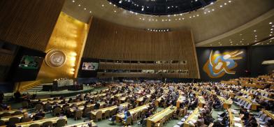 United Nations General Assembly (UNGA)