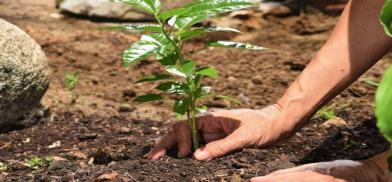 World Environment Day