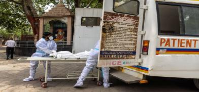 Highest COVID-19 deaths in 24 hours Highest COVID-19 deaths in 24 hours