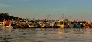 Sri Lanka boats