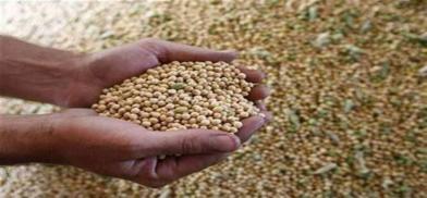 Soybean oil exports Soybean oil exports
