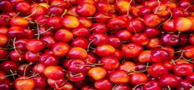 Kashmir cherries