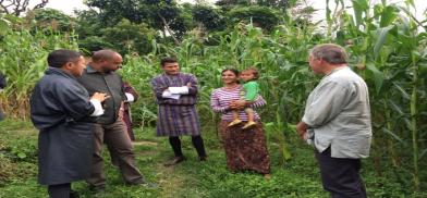 Agriculture marketing scheme Agriculture marketing scheme