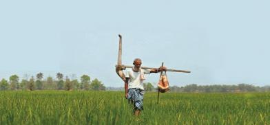 Indian farmer Indian farmer