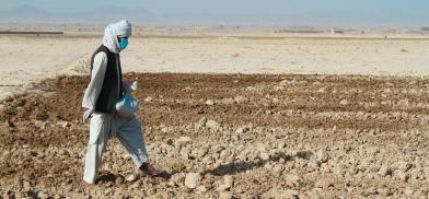 UN helping one million drought-hit Afghan farmers (Photo: UNnews)