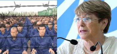 Michele Bachelet, who completed her term as United Nations High Commissioner for Human Rights on Wednesday, August 31, 2022. (File Photo: UN) Michele Bachelet, who completed her term as United Nations High Commissioner for Human Rights on Wednesday, August 31, 2022. (File Photo: UN)