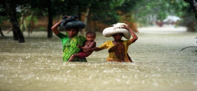Bangladesh:Climate adaptation (Photo: Twitter)