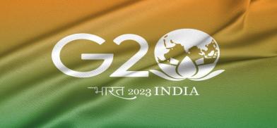G20 Diaspora Forum in New Delhi