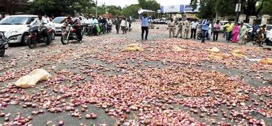 Onion damping in Maharashtra (Photo: Youtube)