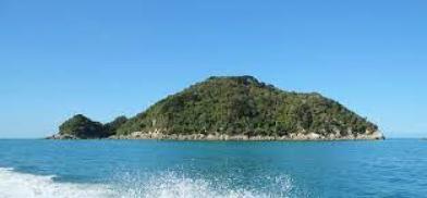 Tonga (Representational Photo) Tonga (Representational Photo)
