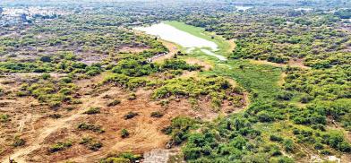 Kancha Gachibowli forest of Hyderabad