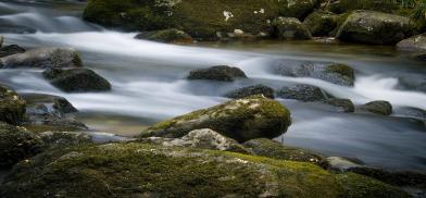Representational Photo