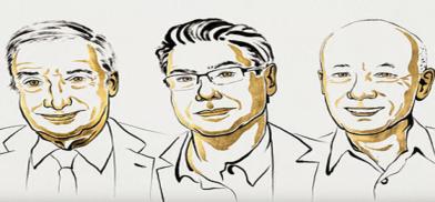 2025 Nobel Prizes in Economics
