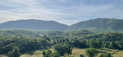 The Aravalli hills in northwestern India