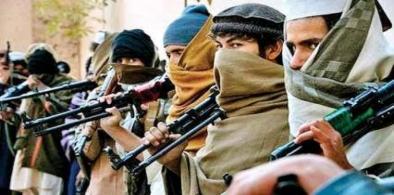 Hizb-ul-Mujahideen terrorists