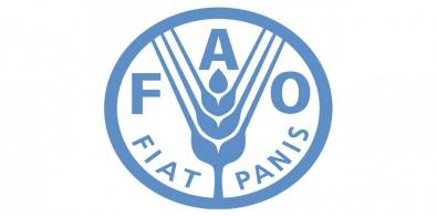 Food and Agricultural Organization (FAO)