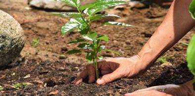 World Environment Day