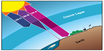 Ozone layer