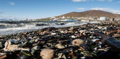 Environmental tragedy