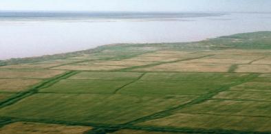 Pakistan's agriculture land