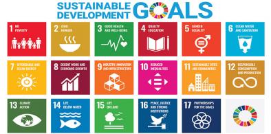 UN should redesign Sustainable Development Goals