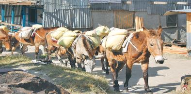 A Nepali border district dependent on China faces severe food shortages 