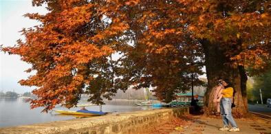 Srinagar joins UNESCO's Creative Cities Network