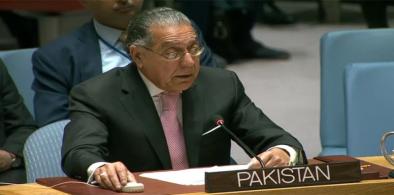 Pakistan's Permanent Representative to the UN Ambassador Munir Akram