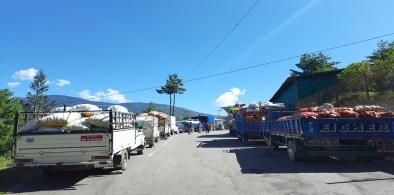Bhutan to expand agricultural export market