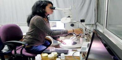 Gayani Senevirathne, a young Sri Lankan-born scientist (Photo: Dailymirror.lk)