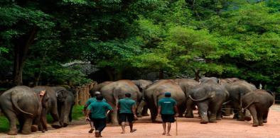 Sri Lanka’s zoo workers threaten