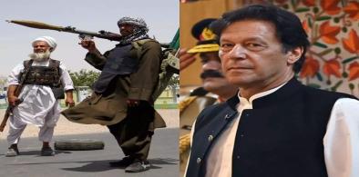 TTP militant and Pakistan Prime Minister Imran Khan