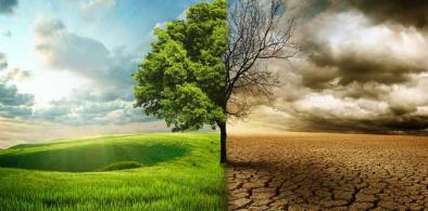 Climate change (Representational Photo)