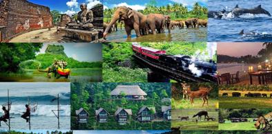 Sri Lanka's tourism industry
