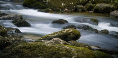 Representational Photo