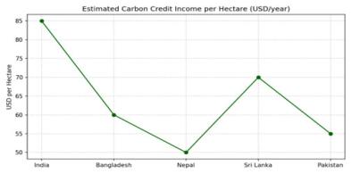 Climate Credit Markets in South Asia