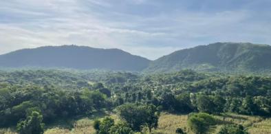 The Aravalli hills in northwestern India