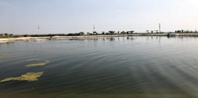 Nalgonda water