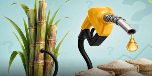 India's Sugar Economy and Ethanol Politics