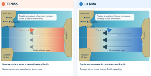 Figure 1, One Ocean, Many Consequences. During El Niño (left), warm Pacific water weakens trade winds and sends atmospheric signals toward South Asia. La Niña (right) reverses the pattern. Dashed arrows indicate probable teleconnections. Effects vary by season and location.