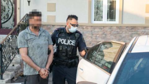 Police bust major drug trafficking ring in Canada's York region, Indo ...