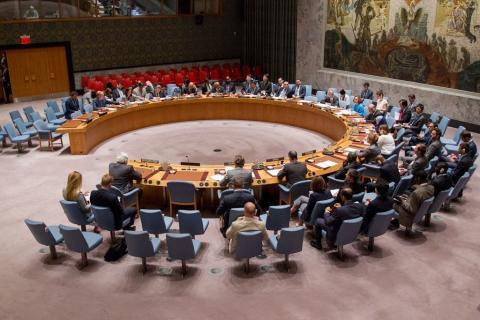Pakistan joins UN Security Council in 2025; will have virtual veto on ...